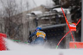 Audi FIS Alpine Ski World Cup - Men's Giant Slalom - 1-30