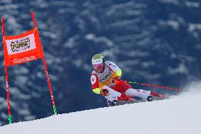 Audi FIS Alpine Ski World Cup - Men's Giant Slalom - 1-30