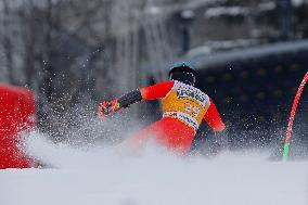 Audi FIS Alpine Ski World Cup - Men's Giant Slalom - 1-30