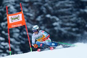 Audi FIS Alpine Ski World Cup - Men's Giant Slalom - 1-30