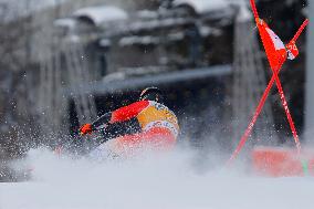 Audi FIS Alpine Ski World Cup - Men's Giant Slalom - 1-30