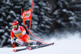 Audi FIS Alpine Ski World Cup - Men's Giant Slalom - 1-30