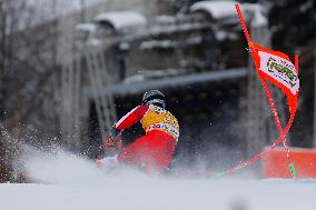 Audi FIS Alpine Ski World Cup - Men's Giant Slalom - 1-30