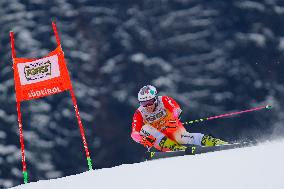 Audi FIS Alpine Ski World Cup - Men's Giant Slalom - 1-30