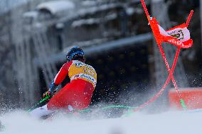 Audi FIS Alpine Ski World Cup - Men's Giant Slalom - 1-30