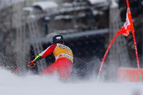 Audi FIS Alpine Ski World Cup - Men's Giant Slalom - 1-30