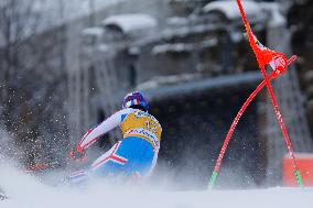 Audi FIS Alpine Ski World Cup - Men's Giant Slalom - 1-30