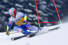 Audi FIS Alpine Ski World Cup - Men's Giant Slalom - 1-30