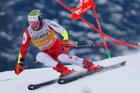 Audi FIS Alpine Ski World Cup - Men's Giant Slalom - 1-30