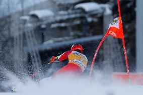 Audi FIS Alpine Ski World Cup - Men's Giant Slalom - 1-30