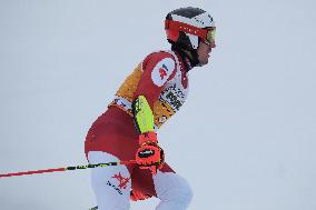 Audi FIS Alpine Ski World Cup - Men's Giant Slalom - 1-30