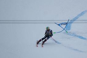 Audi FIS Alpine Ski World Cup - Men's Giant Slalom - 1-30