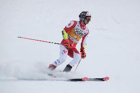 Audi FIS Alpine Ski World Cup - Men's Giant Slalom - 1-30