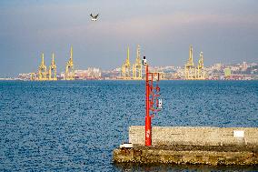 Yellow Cranes At Trieste Port