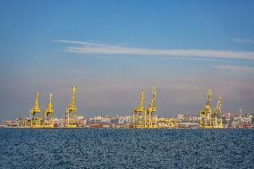 Yellow Cranes At Trieste Port