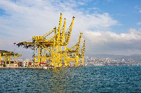 Yellow Cranes At Trieste Port