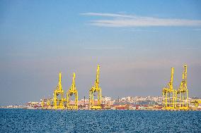 Yellow Cranes At Trieste Port