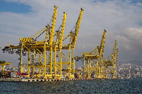 Yellow Cranes At Trieste Port