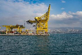 Yellow Cranes At Trieste Port