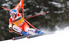 SPORT INVERNALI - Sci Alpino - AUDI FIS Ski World Cup - Giant Slalom - Uomini