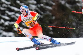 SPORT INVERNALI - Sci Alpino - AUDI FIS Ski World Cup - Giant Slalom - Uomini