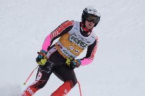 SPORT INVERNALI - Sci Alpino - AUDI FIS Ski World Cup - Giant Slalom - Uomini