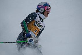 SPORT INVERNALI - Sci Alpino - AUDI FIS Ski World Cup - Giant Slalom - Uomini