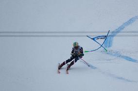 SPORT INVERNALI - Sci Alpino - AUDI FIS Ski World Cup - Giant Slalom - Uomini