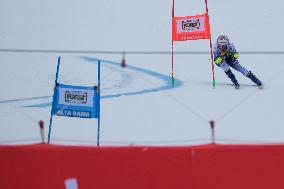 SPORT INVERNALI - Sci Alpino - AUDI FIS Ski World Cup - Giant Slalom - Uomini