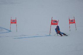 SPORT INVERNALI - Sci Alpino - AUDI FIS Ski World Cup - Giant Slalom - Uomini