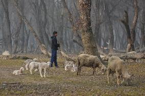 40 Day Period Of Harsh Winter Begins In Kashmir