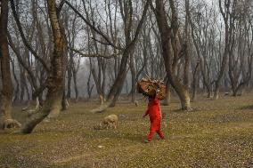 40 Day Period Of Harsh Winter Begins In Kashmir