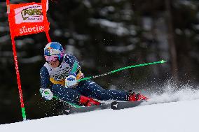 Audi FIS Ski World Cup - Men's Giant Slalom 2024-2025