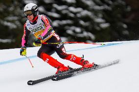 Audi FIS Ski World Cup - Men's Giant Slalom 2024-2025