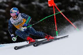 Audi FIS Ski World Cup - Men's Giant Slalom 2024-2025