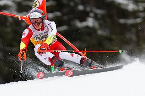 Audi FIS Ski World Cup - Men's Giant Slalom 2024-2025