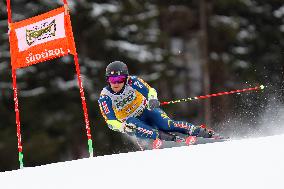 Audi FIS Ski World Cup - Men's Giant Slalom 2024-2025