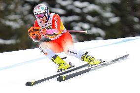 Audi FIS Ski World Cup - Men's Giant Slalom 2024-2025