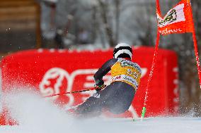 Audi FIS Ski World Cup - Men's Giant Slalom 2024-2025