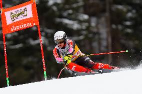 Audi FIS Ski World Cup - Men's Giant Slalom 2024-2025