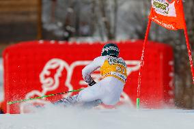 Audi FIS Ski World Cup - Men's Giant Slalom 2024-2025