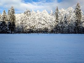 Winter Landscape Near Klais In Bavaria