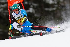 Audi FIS Ski World Cup - Men's Giant Slalom 2024-2025