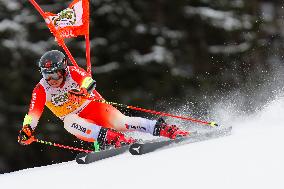 Audi FIS Ski World Cup - Men's Giant Slalom 2024-2025