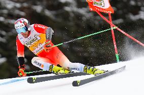 Audi FIS Ski World Cup - Men's Giant Slalom 2024-2025