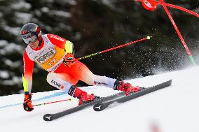 Audi FIS Ski World Cup - Men's Giant Slalom 2024-2025