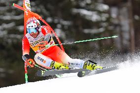 Audi FIS Ski World Cup - Men's Giant Slalom 2024-2025