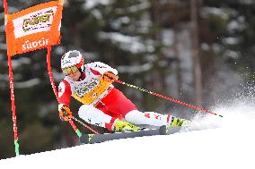 Audi FIS Ski World Cup - Men's Giant Slalom 2024-2025