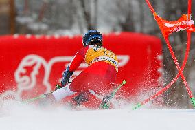 Audi FIS Ski World Cup - Men's Giant Slalom 2024-2025