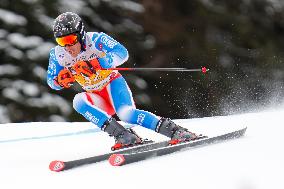 Audi FIS Ski World Cup - Men's Giant Slalom 2024-2025